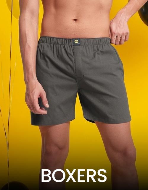 Boxer